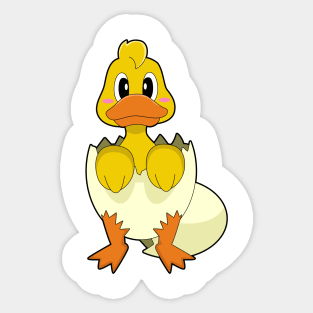 Duck Egg Egg shell Sticker